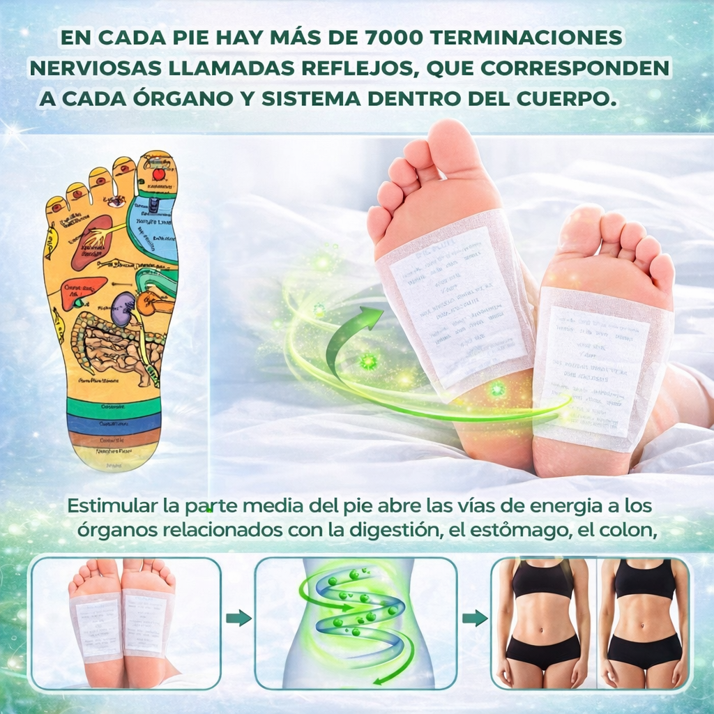 10X Parches Desintoxicantes Kinoki – Colócalos y Descansa